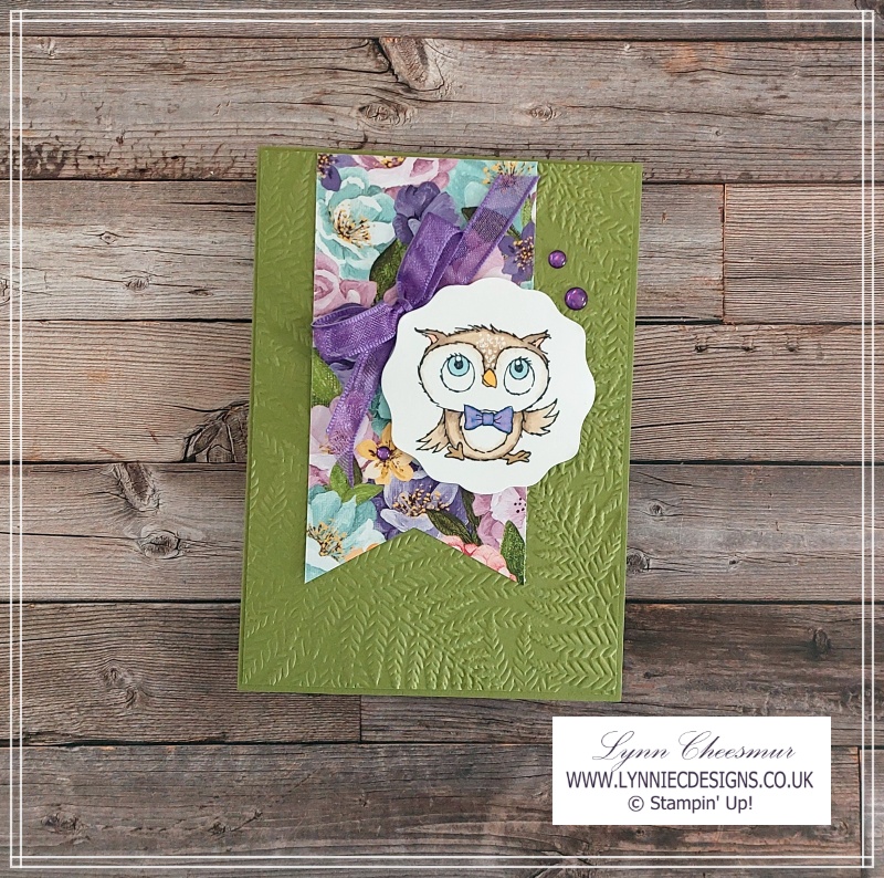 Card featuring Adorable Owls, Fern 3D embossing folder and Hues of Happiness paper by Stampin' Up!