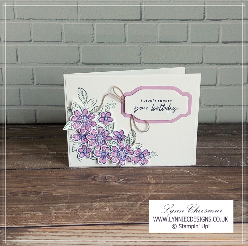 Belated birthday card featuring Petal Park Bundle and Something Fancy Bundle by Stampin' Up!