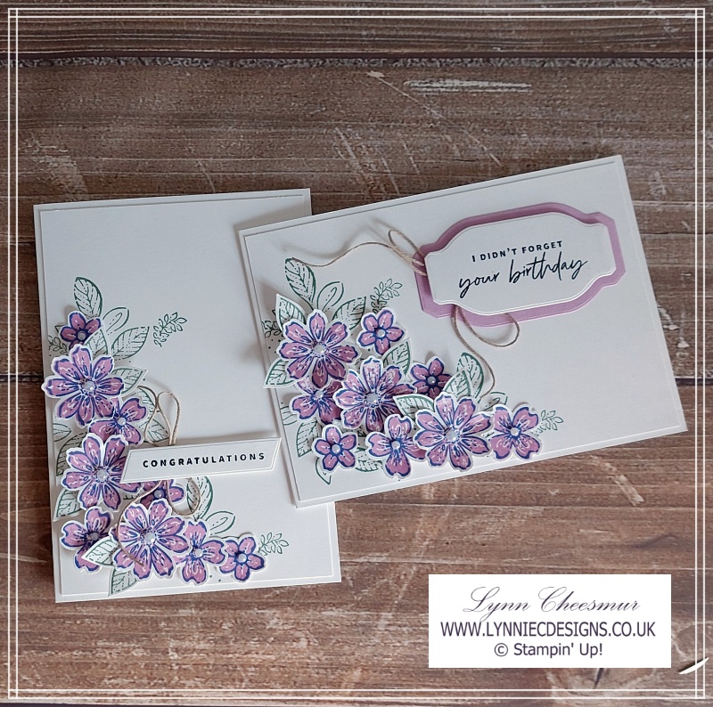 Congratulations and belated birthday card featuring Petal Park Bundle and Something Fancy Bundle by Stampin' Up!